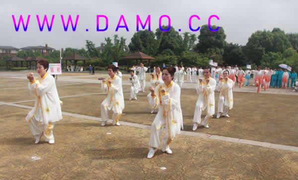�ڹ�