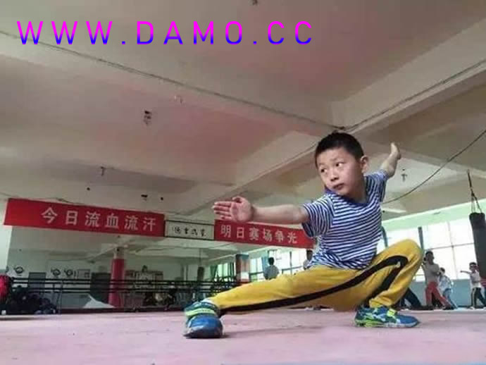 心意把 易筋经
