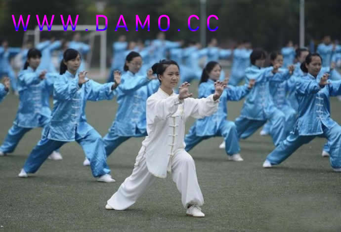 洗髓经 易筋经